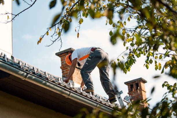 Best Best Roofing Contractors  in Cordova, AK