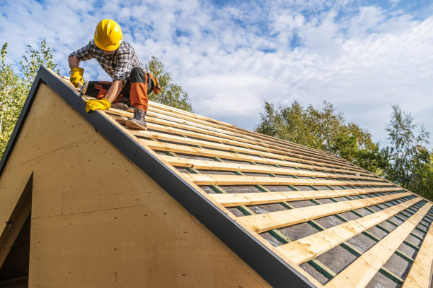 Best Roof Maintenance Services  in Cordova, AK