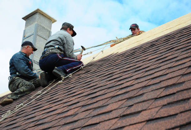 Best Flat Roof Repair Services  in Cordova, AK
