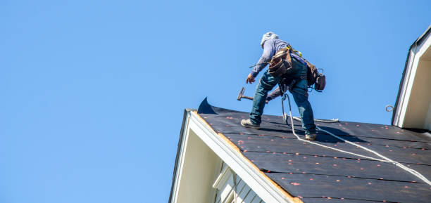 Sealant for Roof in Cordova, AK